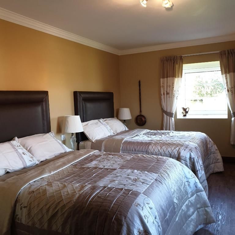 Отели типа «постель и завтрак» Cloghan Lodge Каслайленд-43